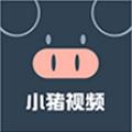 小猪视频 小猪视频