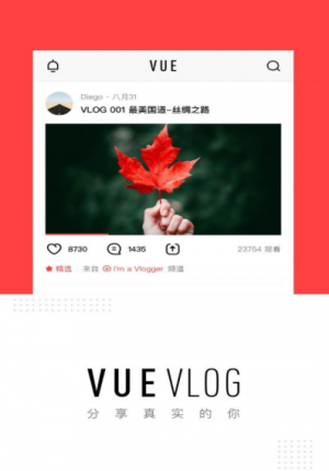 vue vlog