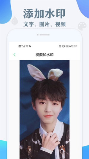 视频去水印永久免费版