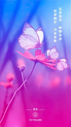 蝴蝶飞直播