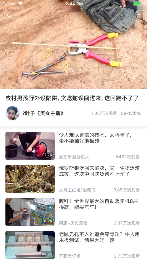 苦瓜视频