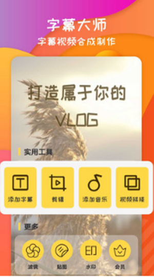 字幕大师
