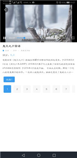 鱼渔影视