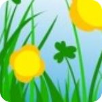 小草视频app