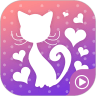猫小姐直播VIP版