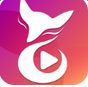 爱秀秀直播app
