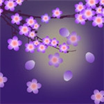 梅花直播app 梅花直播app