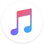 音乐冢最新