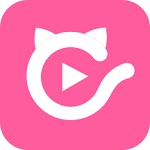 猫咪深夜福利版