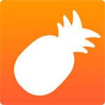 菠萝视频app