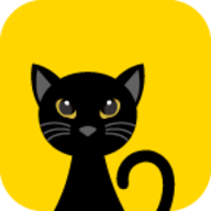 猫说短视频 猫说短视频