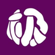 终极影视  手机版