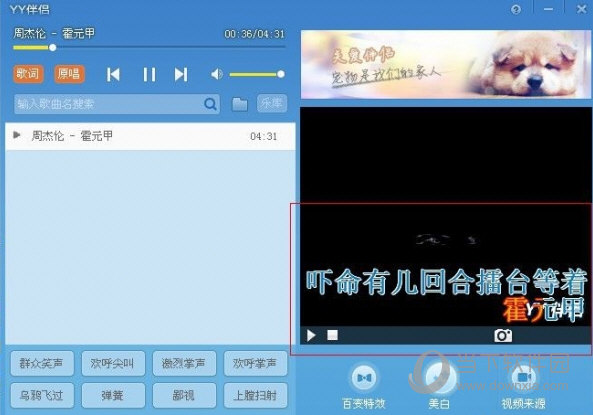 YY伴侣