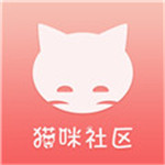 猫咪新区