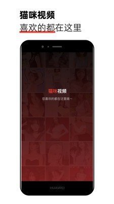 猫咪新区