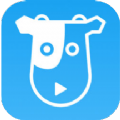 牛牛影视app 牛牛影视app