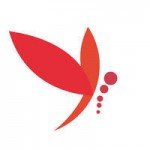 蜻蜓宝盒直播官网版 蜻蜓宝盒直播官网版