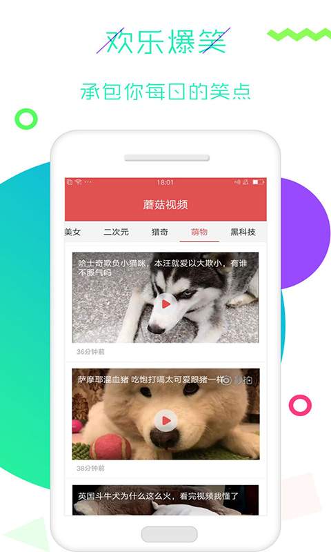 蘑菇视频下载