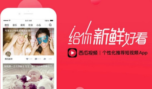 西瓜视频官方手机版