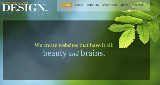 beautybox绿色B的图标破解版安卓