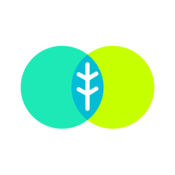 网易薄荷直播 电脑版官网版 网易薄荷直播 电脑版官网版