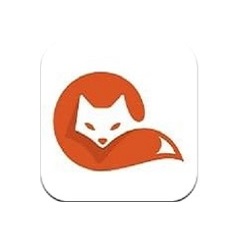cupfox