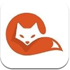 茶杯狐cupfox