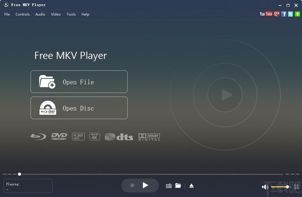 Aiseesoft Free MKV Player(MKV播放器)