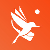 青鸟快讯app