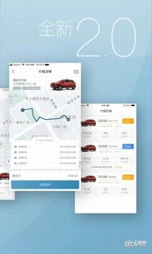 麻鱼出行