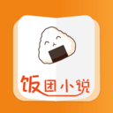 饭团小说app 饭团小说app