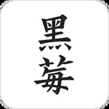 黑莓小说去广告版 黑莓小说去广告版