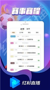 红杉直播