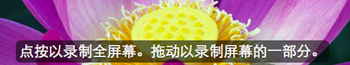 苹果视频播放器(Apple QuickTime)