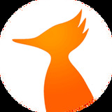 火鸟影视app 火鸟影视app